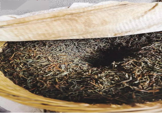 紅茶加工中的發酵介紹